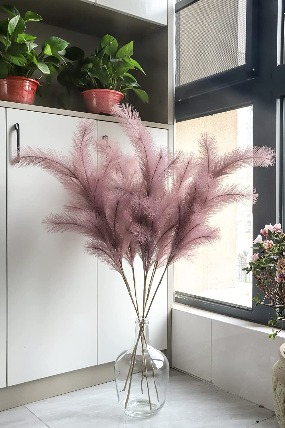 Pampas pourpres (3 pièces)