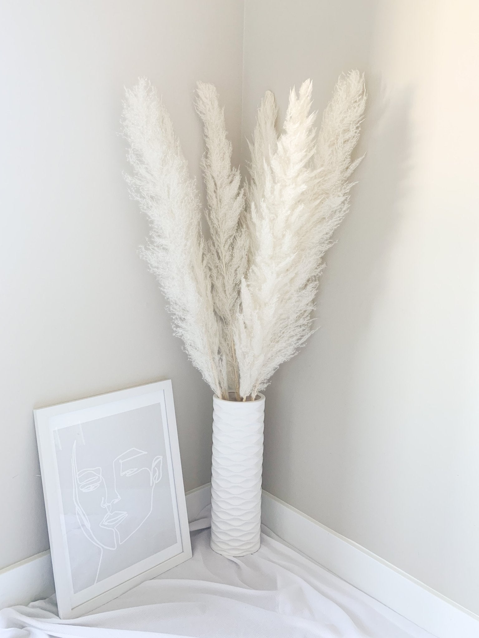 Pampas blanches (3 pièces)