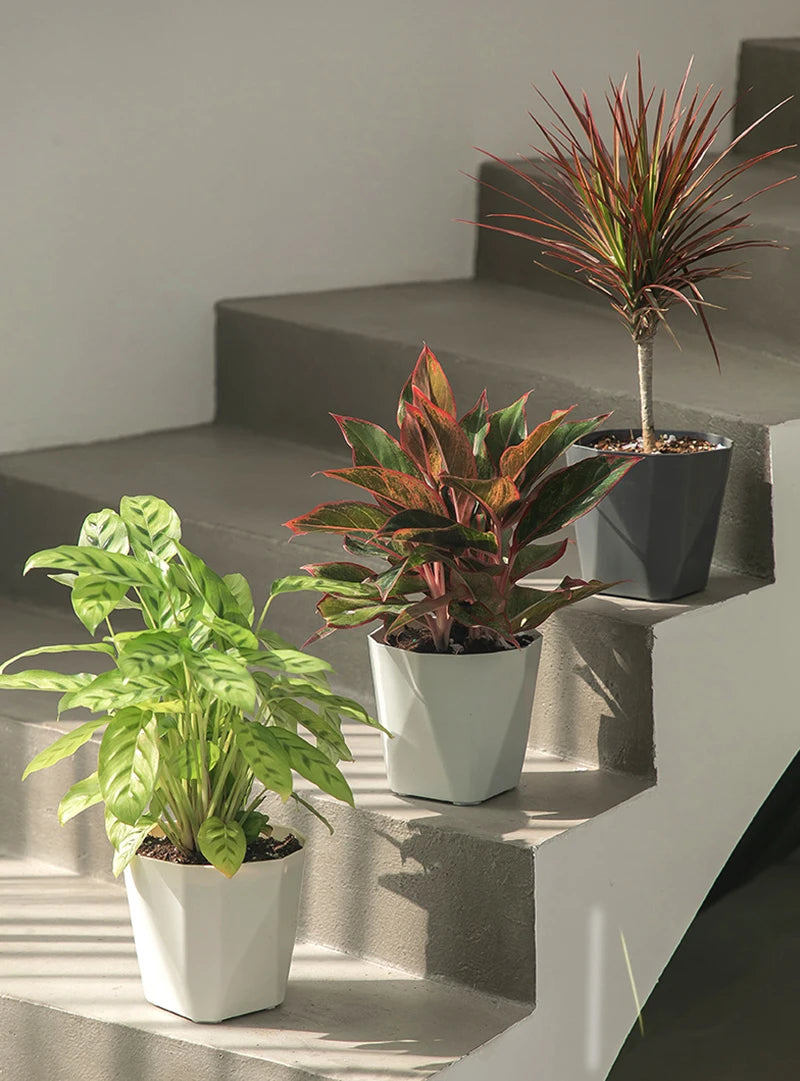 Pot design en résine