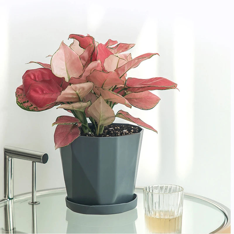 Pot design en résine