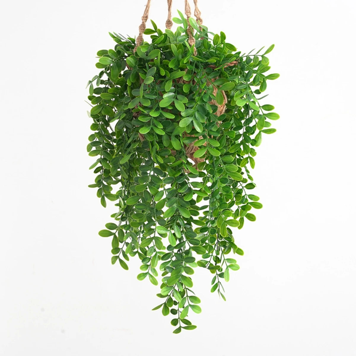 Plante tombante artificielle