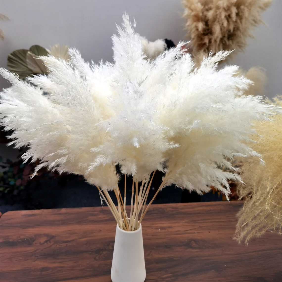Pampas blanches (3 pièces)
