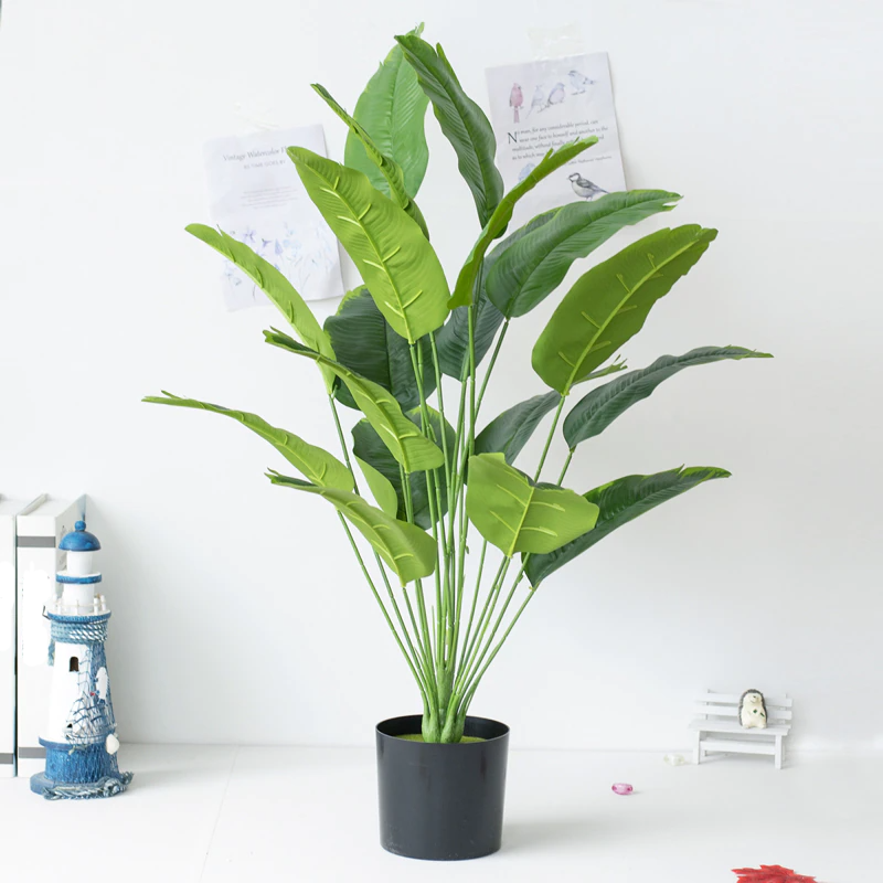 Strelitzia Nicolai - Oiseau de paradis artificiel