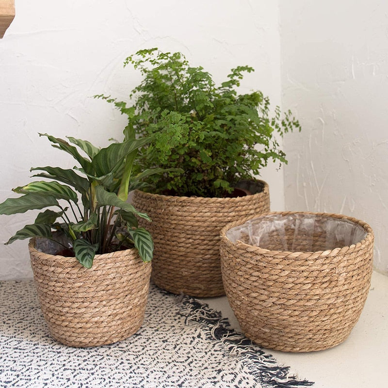 Cache pot classique