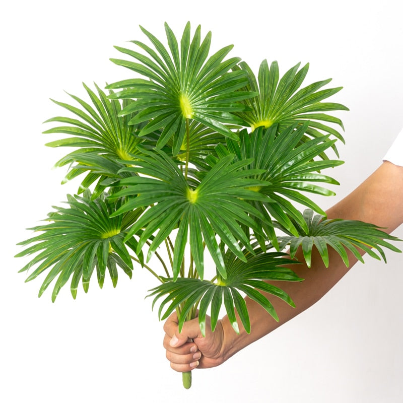 Livistona rotundifolia - Palmier artificiel