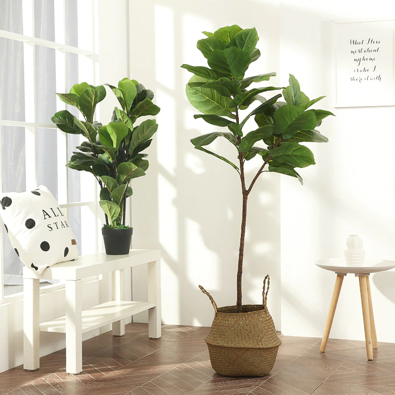 Ficus Banyan - Figuier des banians artificiel