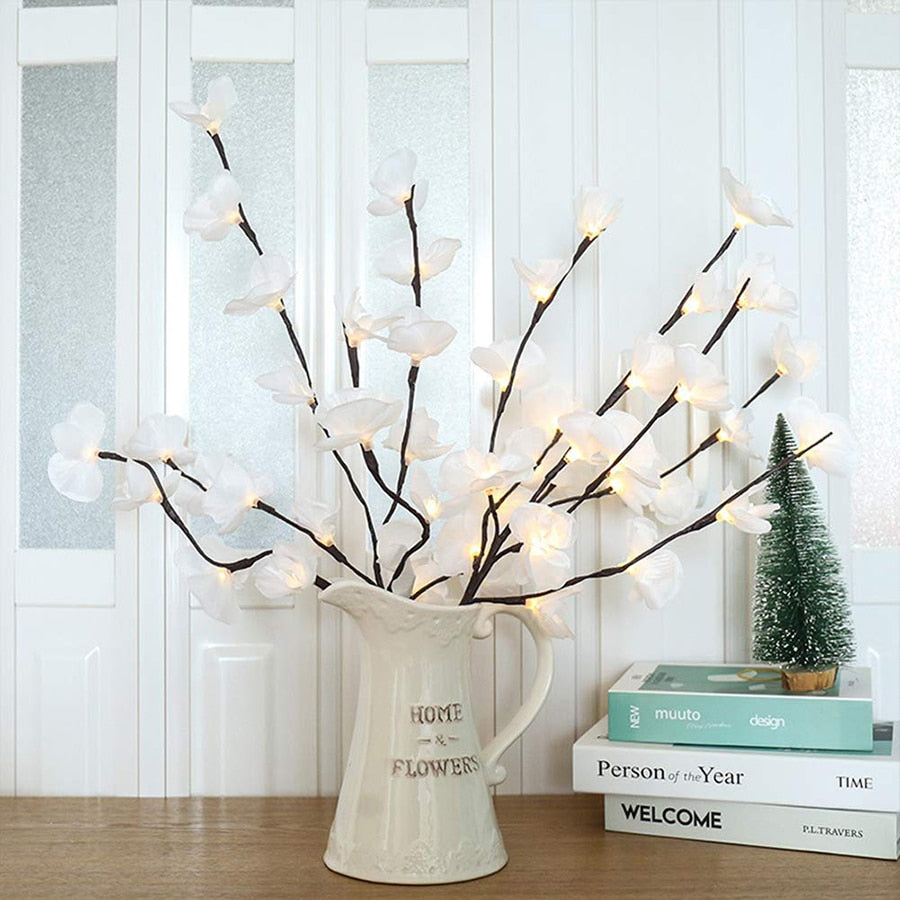 Orchidées blanches lumineuses