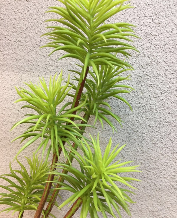 Larix - Branche de Mélèze artificiel