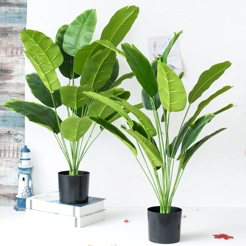 Strelitzia Nicolai - Oiseau de paradis artificiel