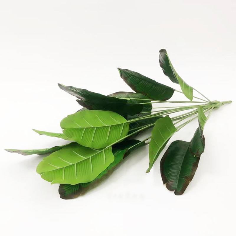 Strelitzia Nicolai - Oiseau de paradis artificiel
