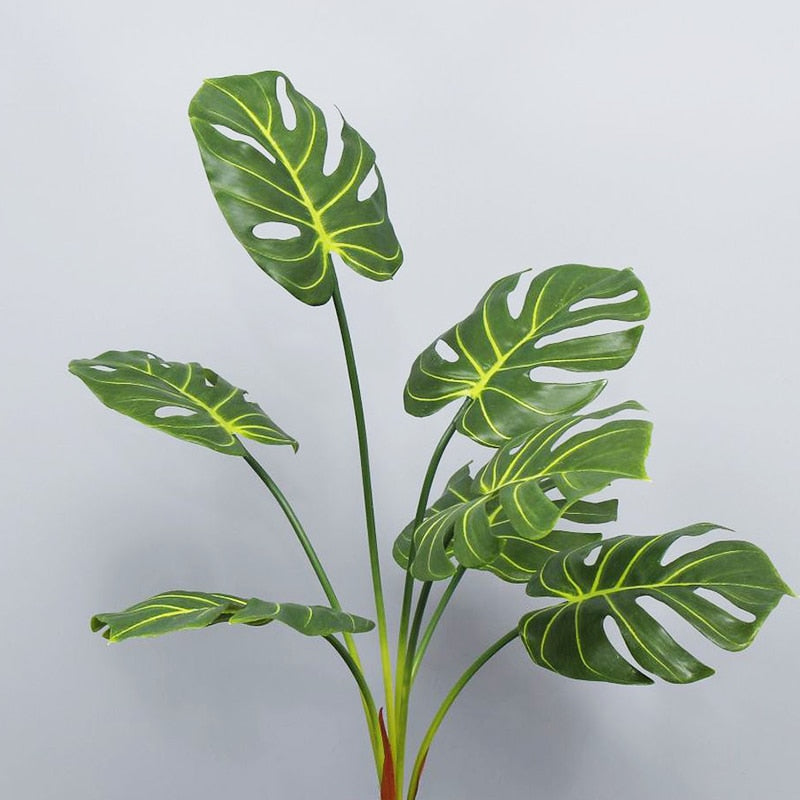 Monstera adansonii - Monstera Monkey Mask artificiel
