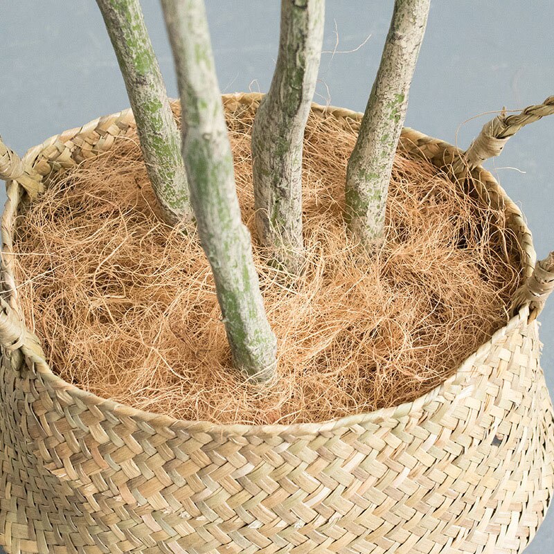Fibre de coco naturelle