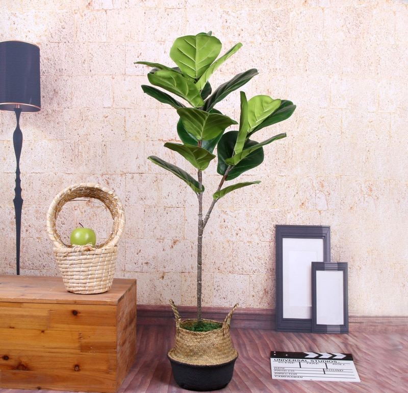 Ficus Banyan - Figuier des banians artificiel