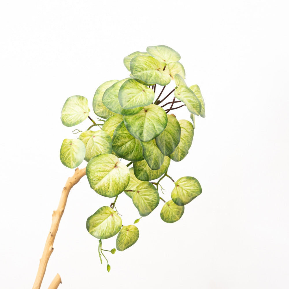 Pothos artificiels