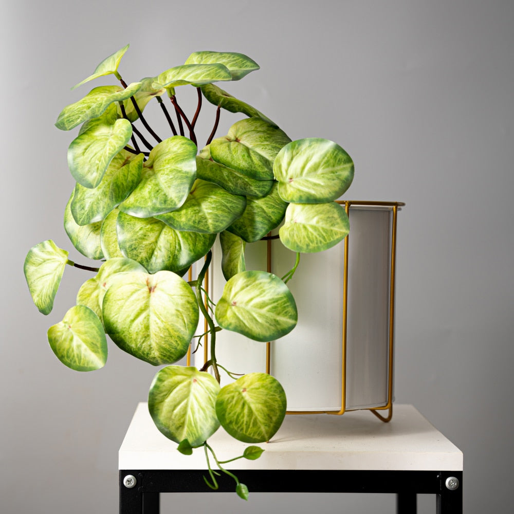 Pothos artificiels