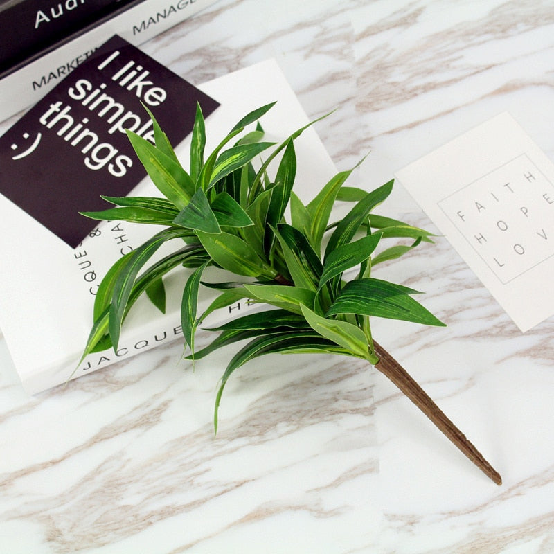 Dracaena lemon lime