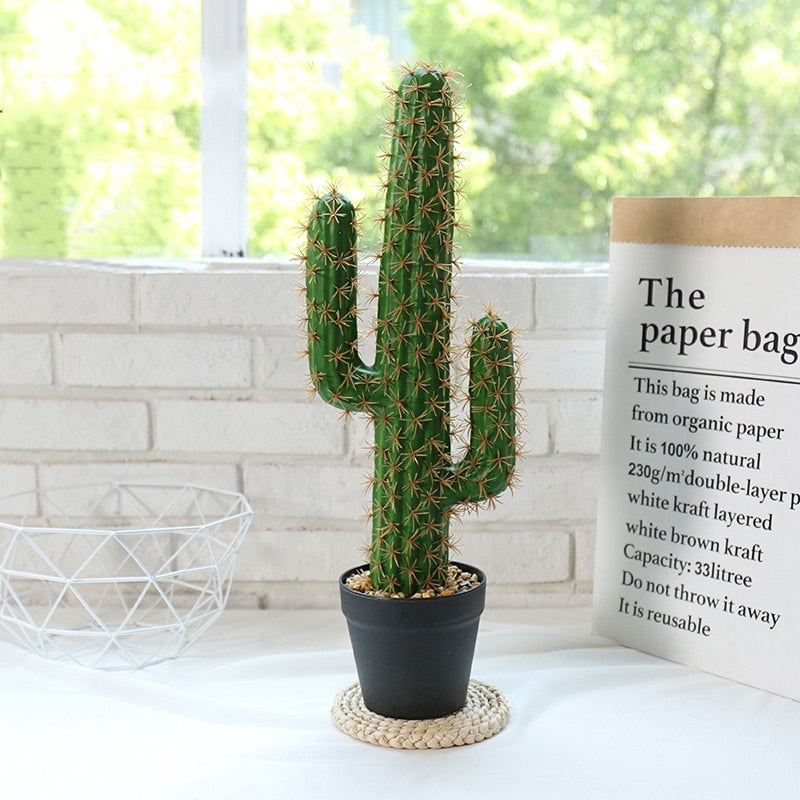 Stenocereus - Cactus artificiel à deux bras