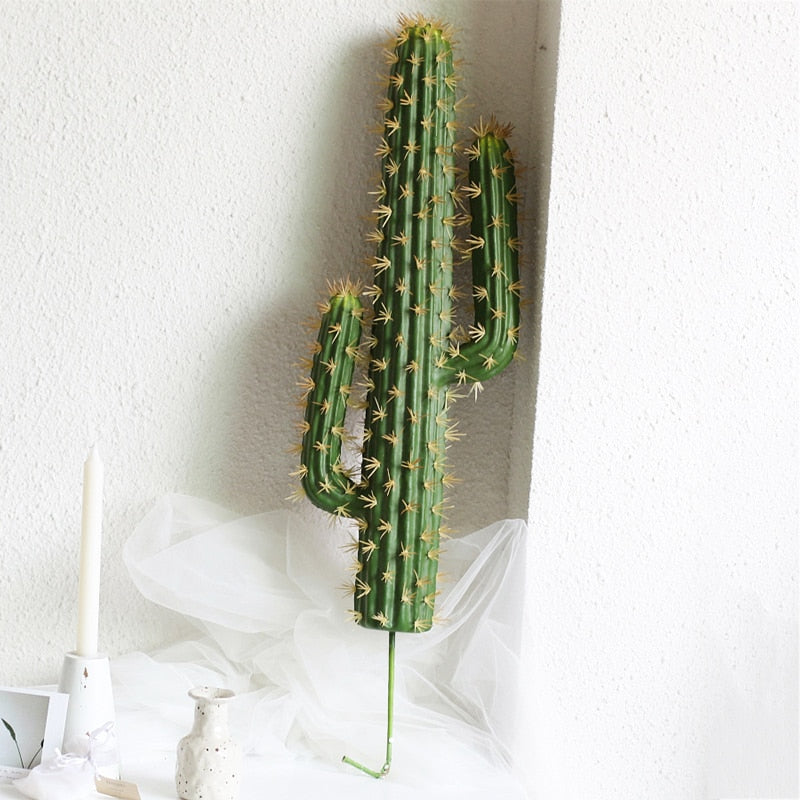 Stenocereus - Cactus artificiel à deux bras