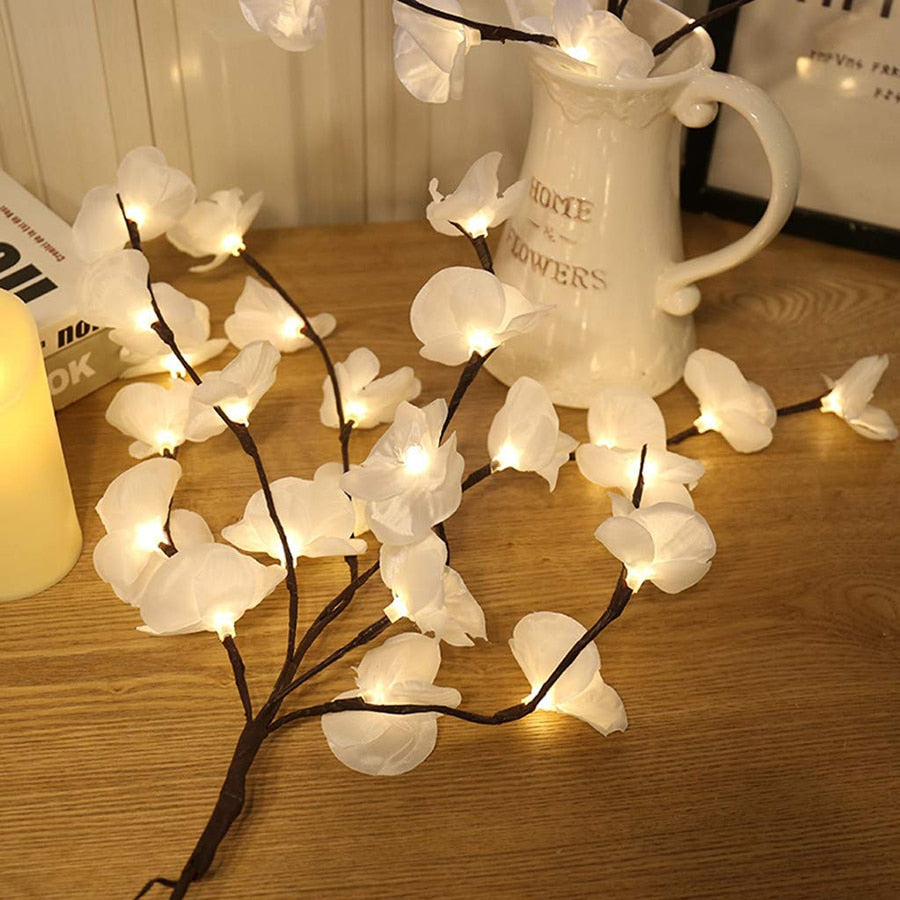 Orchidées blanches lumineuses