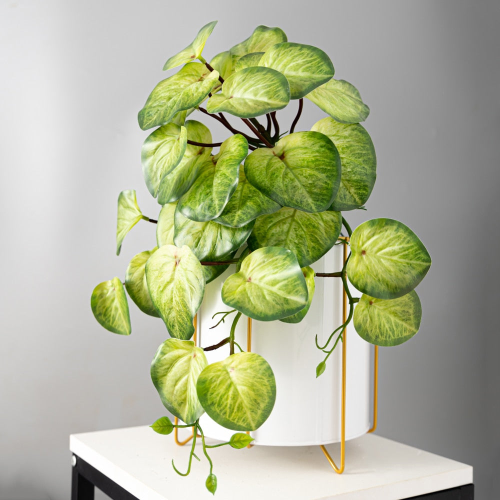 Pothos artificiels