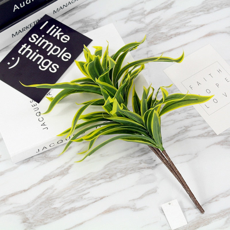 Dracaena lemon lime