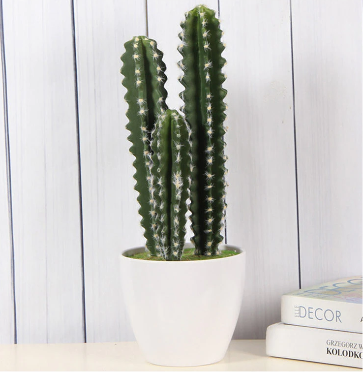 Acanthocereus Tetragonus - Cactus artificiel