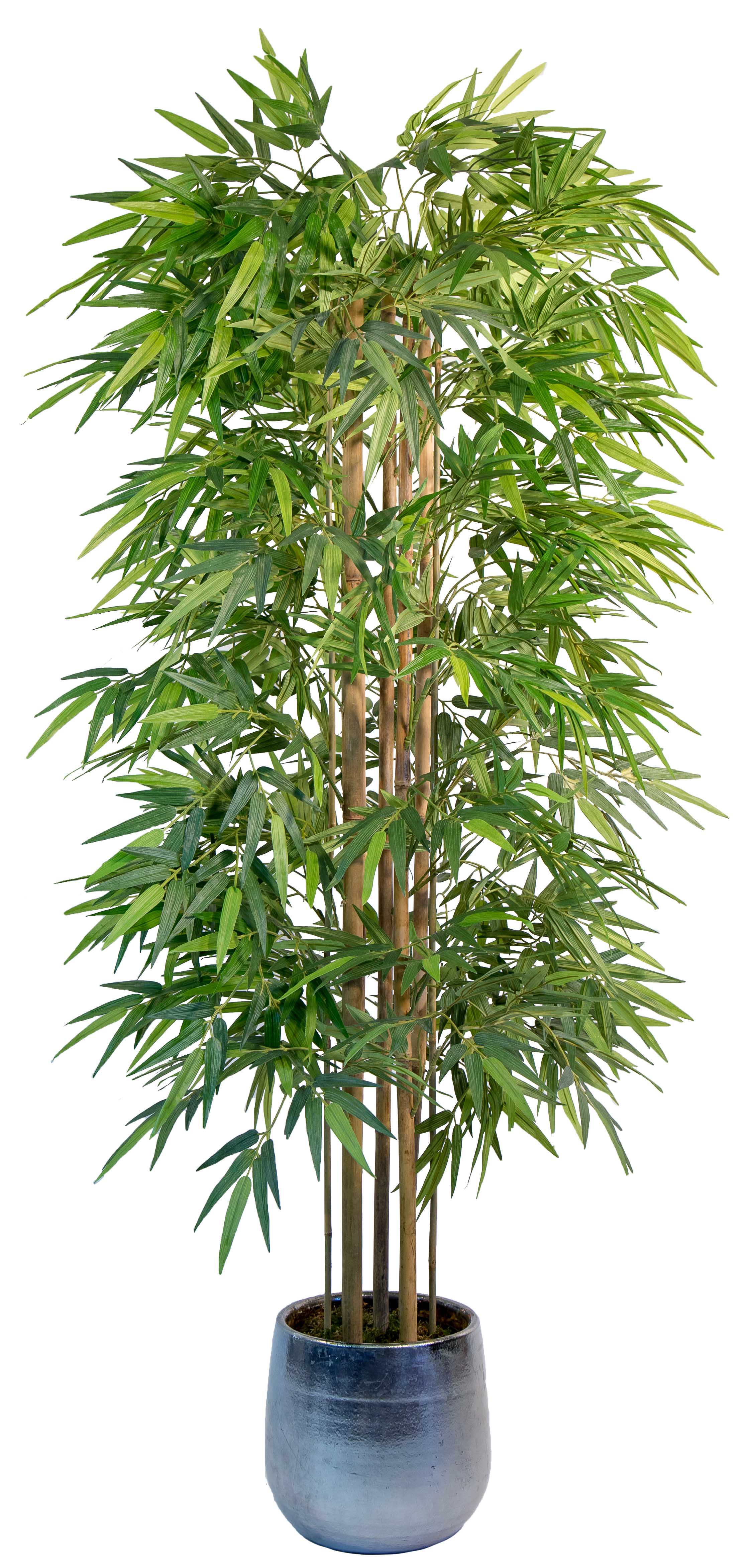 Bambou artificiel - Bambuseae artificiel