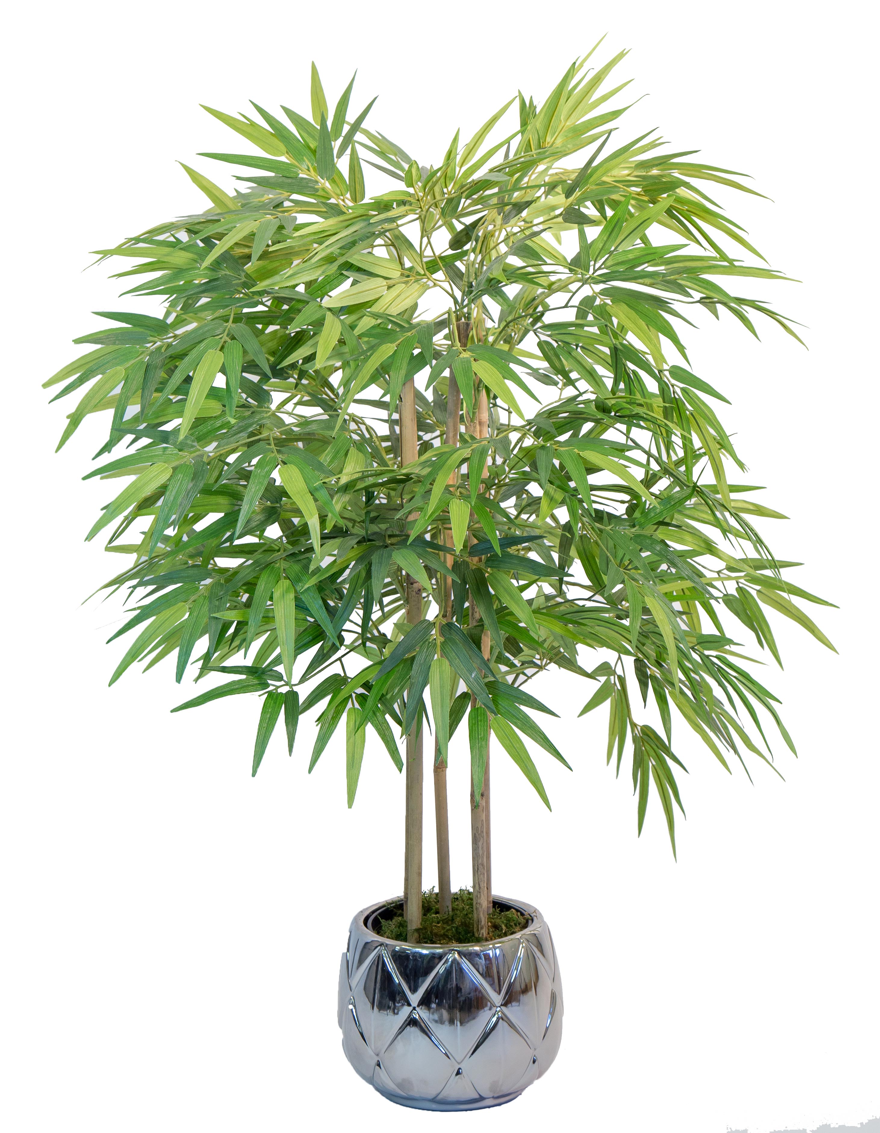Bambou artificiel - Bambuseae artificiel